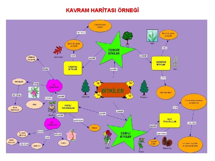 KAVRAM HARİTASI ÖRNEĞİ 