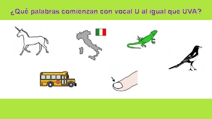 ¿Qué palabras comienzan con vocal U al igual que UVA? 