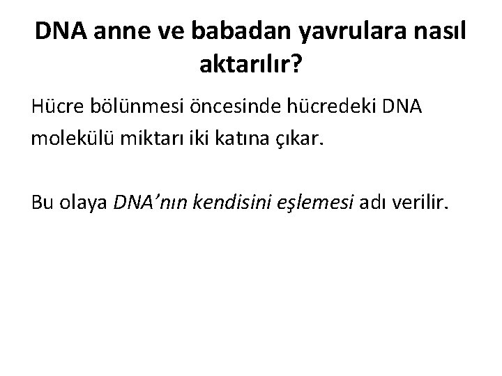 DNA anne ve babadan yavrulara nasıl aktarılır? Hücre bölünmesi öncesinde hücredeki DNA molekülü miktarı