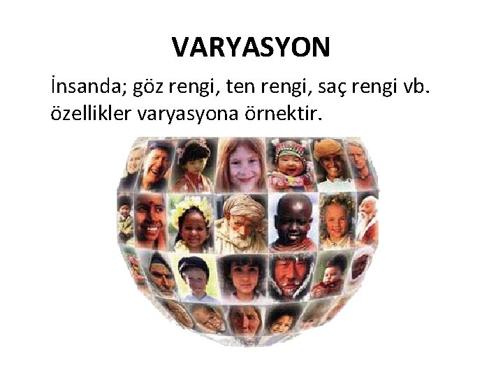 VARYASYON İnsanda; göz rengi, ten rengi, saç rengi vb. özellikler varyasyona örnektir. 