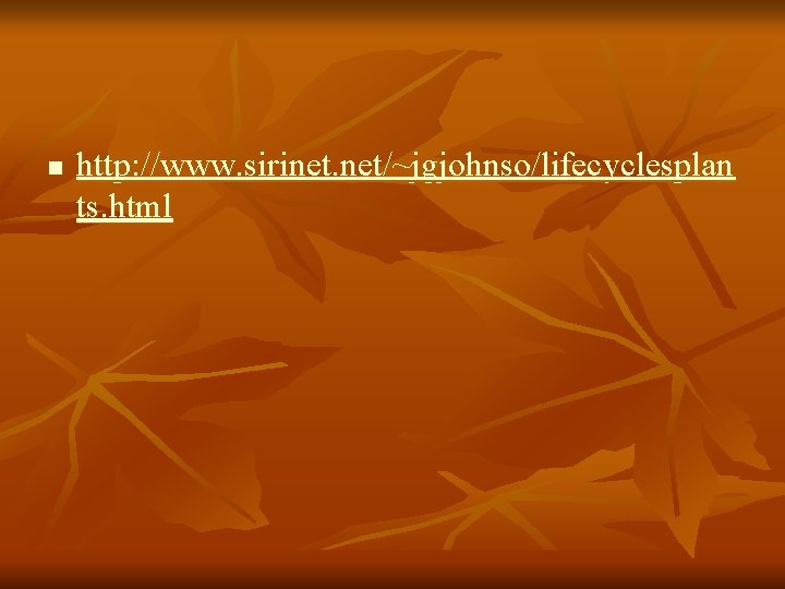 n http: //www. sirinet. net/~jgjohnso/lifecyclesplan ts. html 