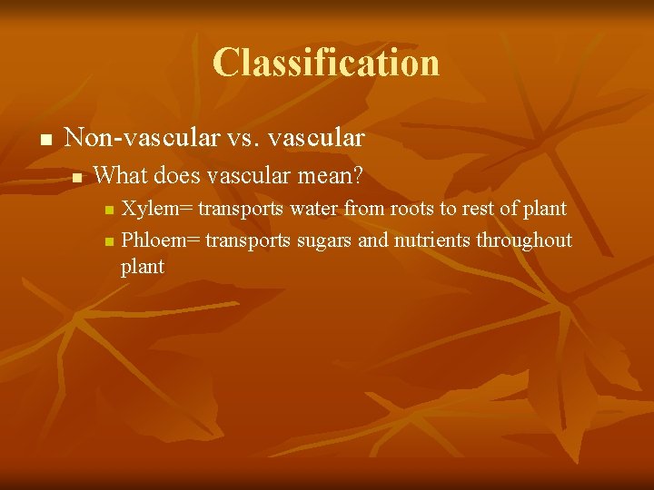 Classification n Non-vascular vs. vascular n What does vascular mean? Xylem= transports water from