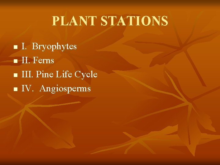 PLANT STATIONS n n I. Bryophytes II. Ferns III. Pine Life Cycle IV. Angiosperms