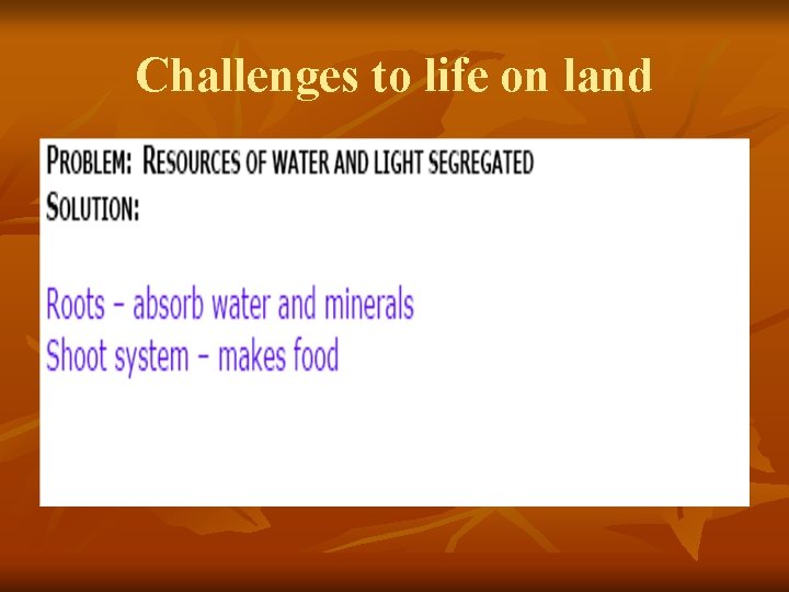Challenges to life on land 