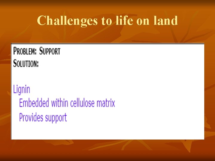 Challenges to life on land 
