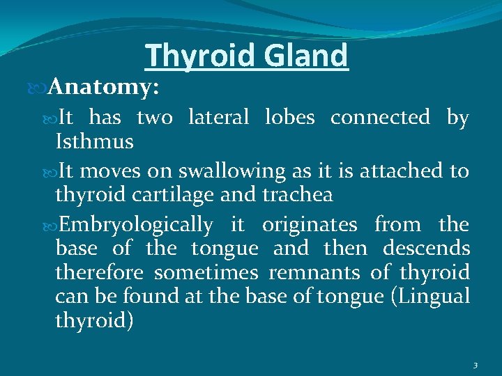 Thyroid Gland Anatomy: It has two lateral lobes connected by Isthmus It moves on