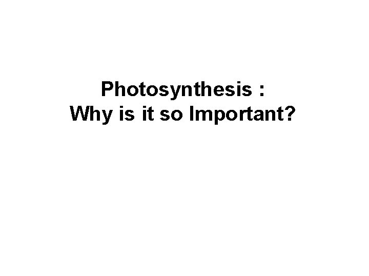 Photosynthesis visual data 7