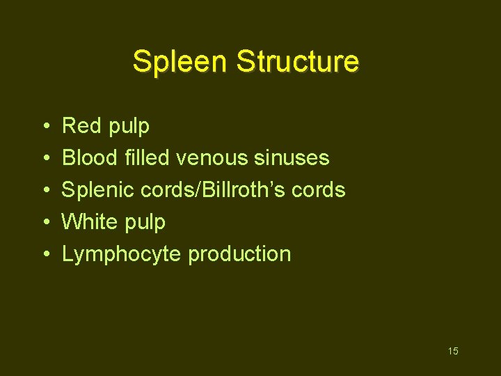 Spleen Structure • • • Red pulp Blood filled venous sinuses Splenic cords/Billroth’s cords