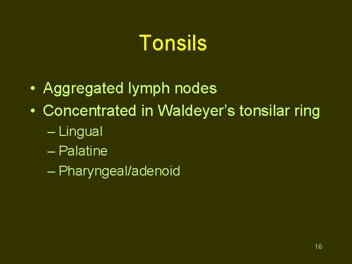 Tonsils • Aggregated lymph nodes • Concentrated in Waldeyer’s tonsilar ring – Lingual –
