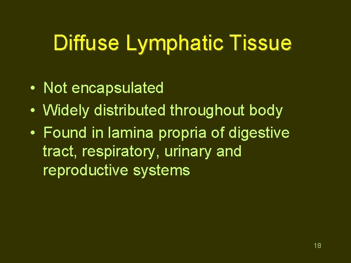 Diffuse Lymphatic Tissue • Not encapsulated • Widely distributed throughout body • Found in