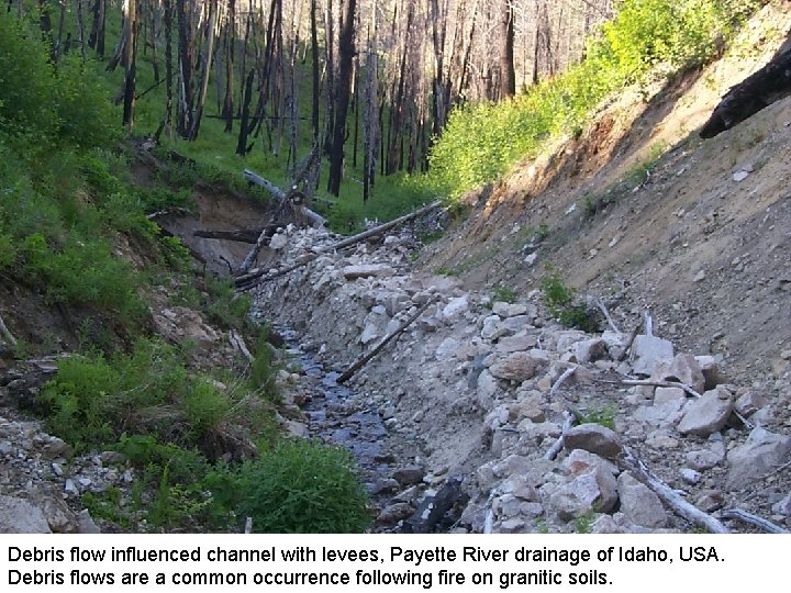 Debris flow influenced channel with levees, Payette River drainage of Idaho, USA. Debris flows