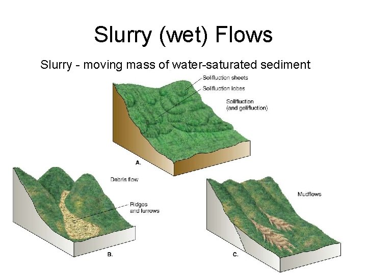 Slurry (wet) Flows Slurry - moving mass of water-saturated sediment 