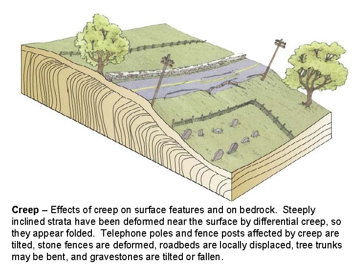 Creep – Effects of creep on surface features and on bedrock. Steeply inclined strata