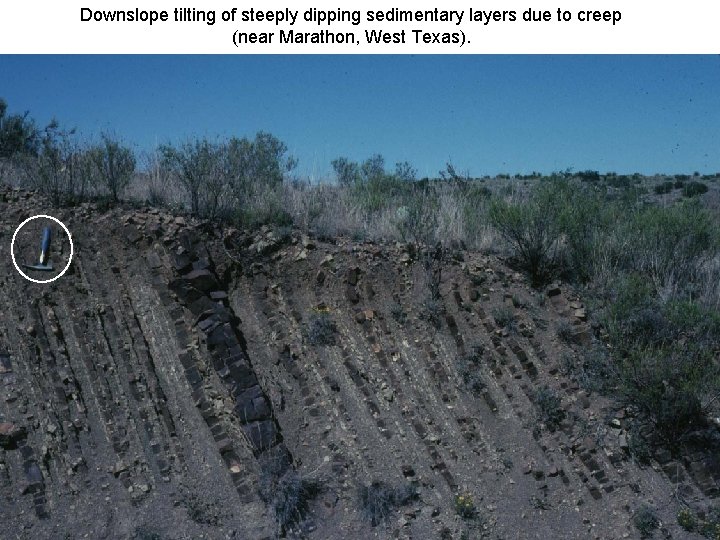 Downslope tilting of steeply dipping sedimentary layers due to creep (near Marathon, West Texas).