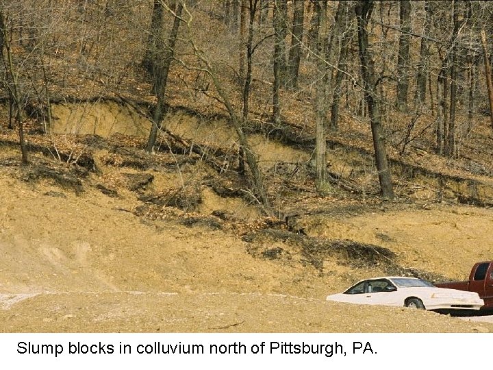 Slump blocks in colluvium north of Pittsburgh, PA. 