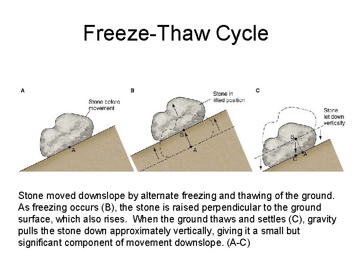 Freeze-Thaw Cycle Stone moved downslope by alternate freezing and thawing of the ground. As