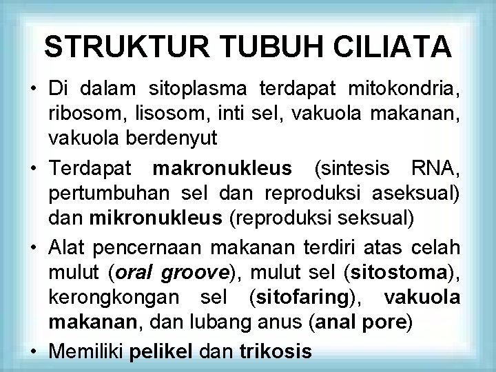 STRUKTUR TUBUH CILIATA • Di dalam sitoplasma terdapat mitokondria, ribosom, lisosom, inti sel, vakuola