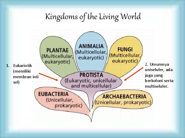 Kingdoms of the Living World 1. Eukariotik (memiliki membran inti sel) 2. Umumnya uniseluler,