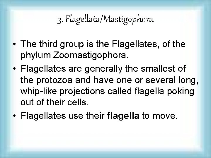 3. Flagellata/Mastigophora • The third group is the Flagellates, of the phylum Zoomastigophora. •
