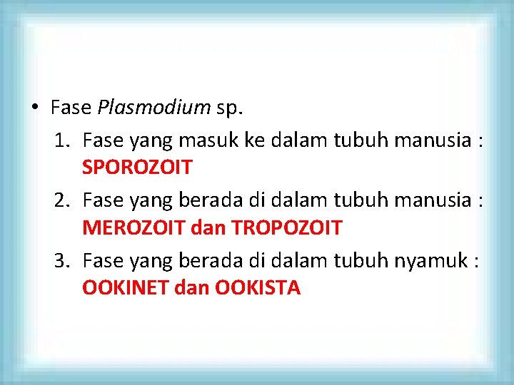  • Fase Plasmodium sp. 1. Fase yang masuk ke dalam tubuh manusia :