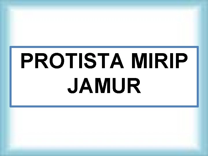 PROTISTA MIRIP JAMUR 