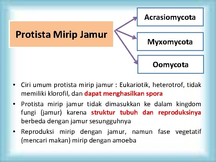 Acrasiomycota Protista Mirip Jamur Myxomycota Oomycota • Ciri umum protista mirip jamur : Eukariotik,
