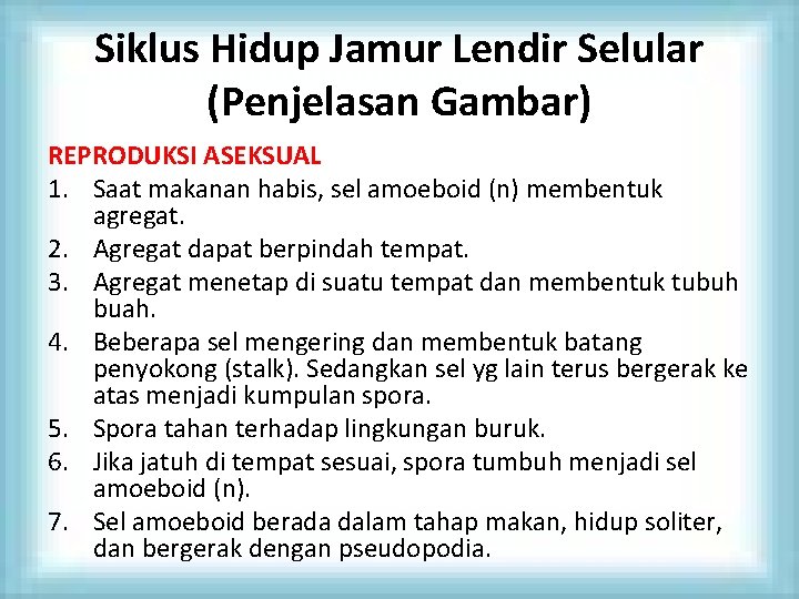 Siklus Hidup Jamur Lendir Selular (Penjelasan Gambar) REPRODUKSI ASEKSUAL 1. Saat makanan habis, sel