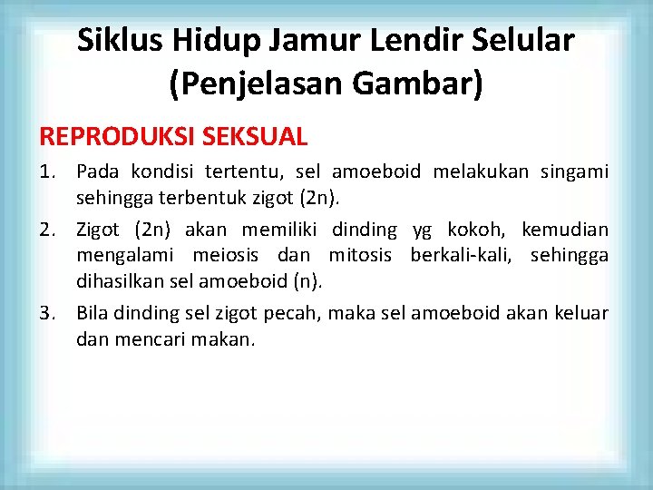 Siklus Hidup Jamur Lendir Selular (Penjelasan Gambar) REPRODUKSI SEKSUAL 1. Pada kondisi tertentu, sel