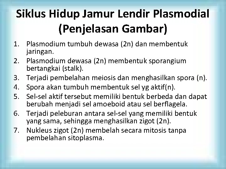 Siklus Hidup Jamur Lendir Plasmodial (Penjelasan Gambar) 1. Plasmodium tumbuh dewasa (2 n) dan