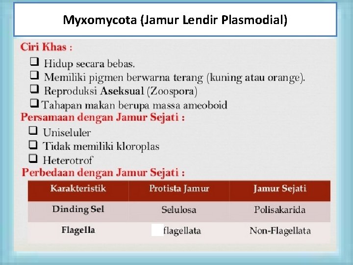 Myxomycota (Jamur Lendir Plasmodial) 