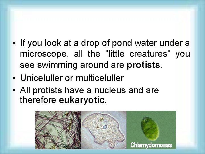  • If you look at a drop of pond water under a microscope,