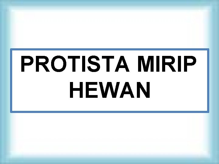 PROTISTA MIRIP HEWAN 