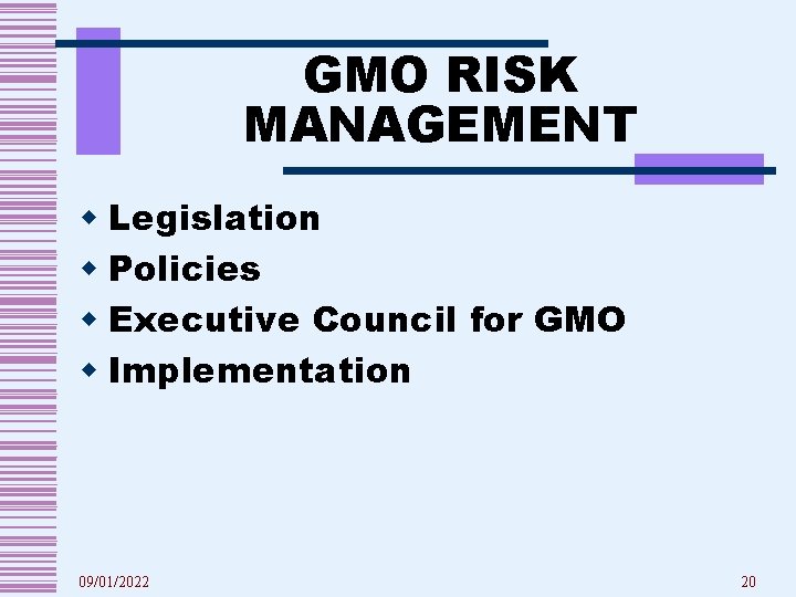 GMO RISK MANAGEMENT w Legislation w Policies w Executive Council for GMO w Implementation