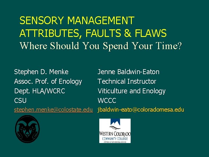 SENSORY MANAGEMENT ATTRIBUTES, FAULTS & FLAWS Where Should You Spend Your Time? Stephen D.