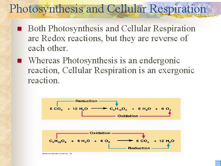 Photosynthesis and Cellular Respiration n n Both Photosynthesis and Cellular Respiration are Redox reactions,