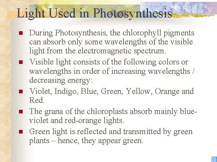 Light Used in Photosynthesis n n n During Photosynthesis, the chlorophyll pigments can absorb