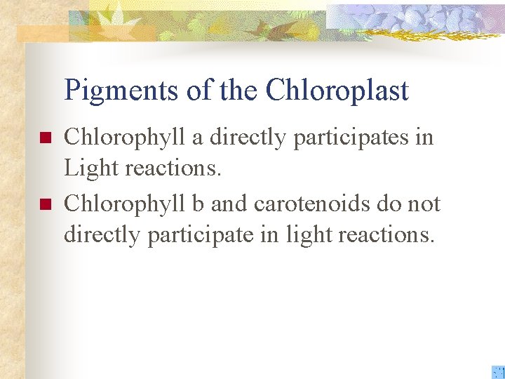 Pigments of the Chloroplast n n Chlorophyll a directly participates in Light reactions. Chlorophyll