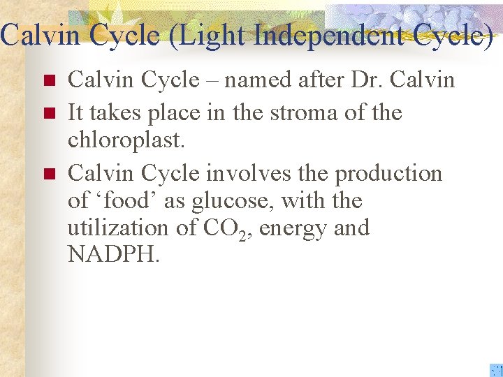 Calvin Cycle (Light Independent Cycle) n n n Calvin Cycle – named after Dr.