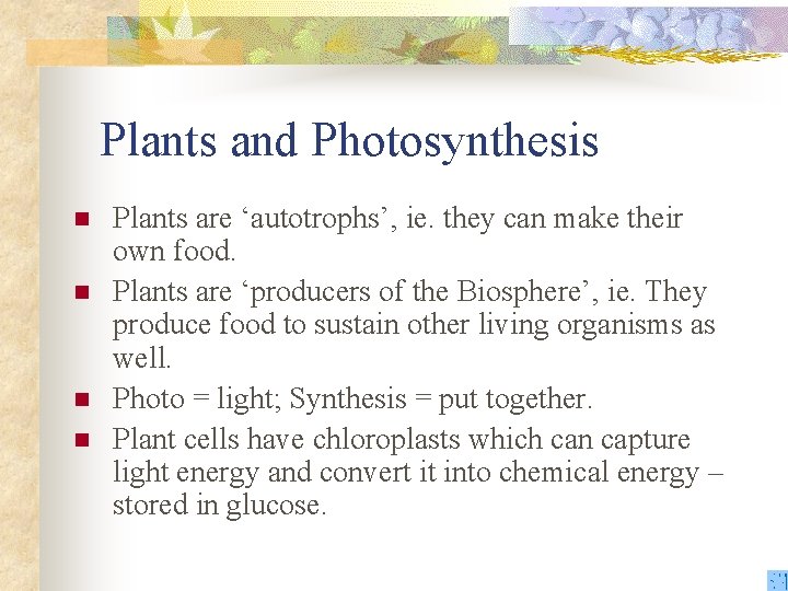 Plants and Photosynthesis n n Plants are ‘autotrophs’, ie. they can make their own