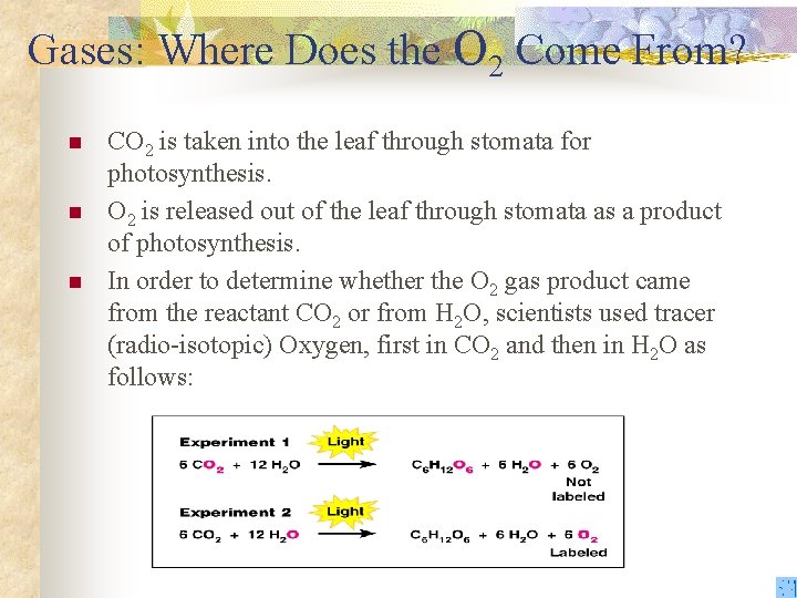 Gases: Where Does the O 2 Come From? n n n CO 2 is