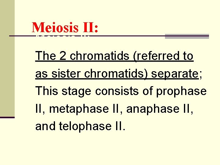 Meiosis II: The 2 chromatids (referred to as sister chromatids) separate; This stage consists