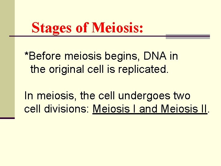 Stages of Meiosis: *Before meiosis begins, DNA in the original cell is replicated. In