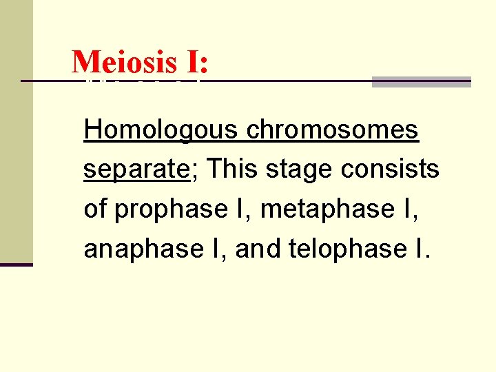 Meiosis I: Homologous chromosomes separate; This stage consists of prophase I, metaphase I, and