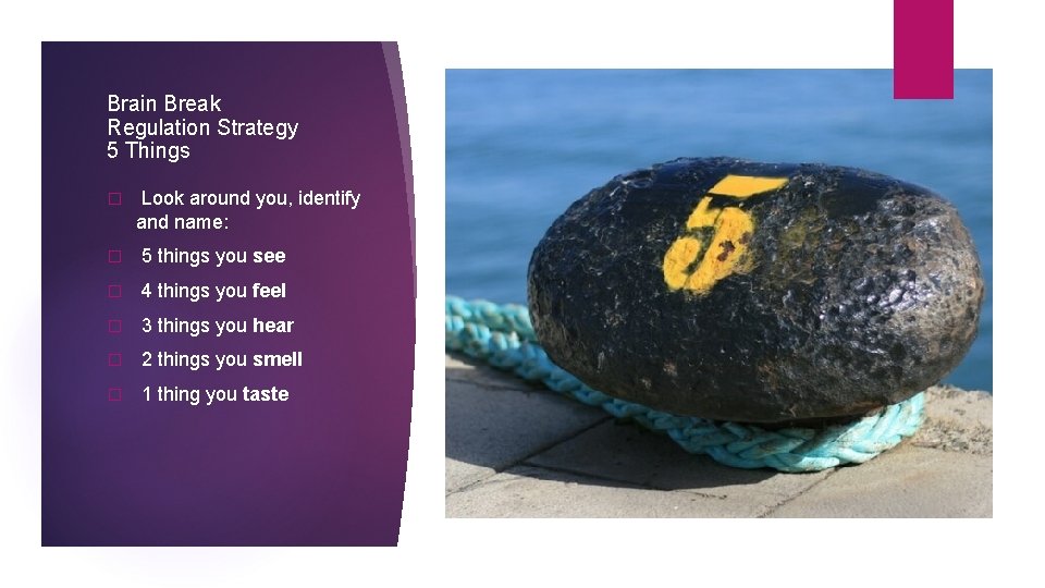 Brain Break Regulation Strategy 5 Things � Look around you, identify and name: � Brain Break Regulation Strategy 5 Things � Look around you, identify and name: �