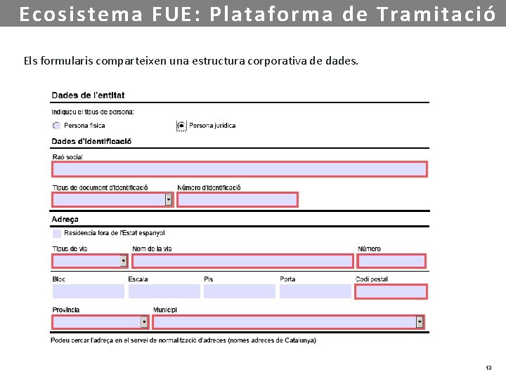 Ecosistema FUE: Plataforma de Tramitació Els formularis comparteixen una estructura corporativa de dades. 13