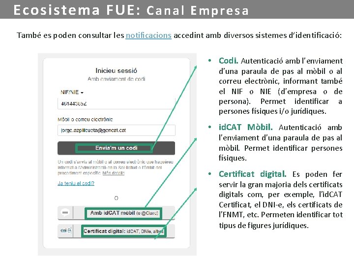 Ecosistema FUE: C a n a l E m p r e s a