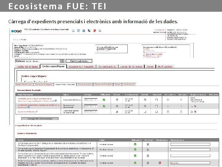 Ecosistema FUE: TEI Càrrega d’expedients presencials i electrònics amb informació de les dades. 