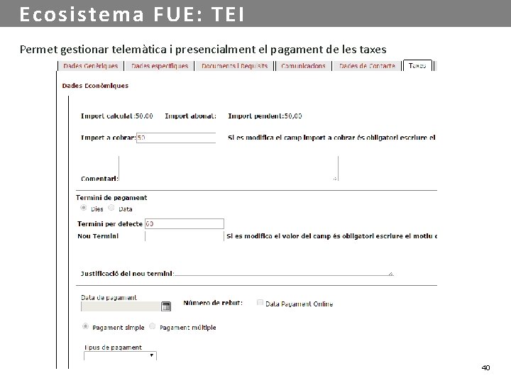 Ecosistema FUE: TEI Permet gestionar telemàtica i presencialment el pagament de les taxes 40