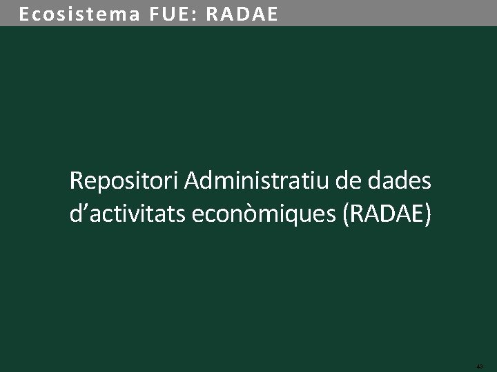 Ecosistema FUE: RADAE Repositori Administratiu de dades d’activitats econòmiques (RADAE) 43 