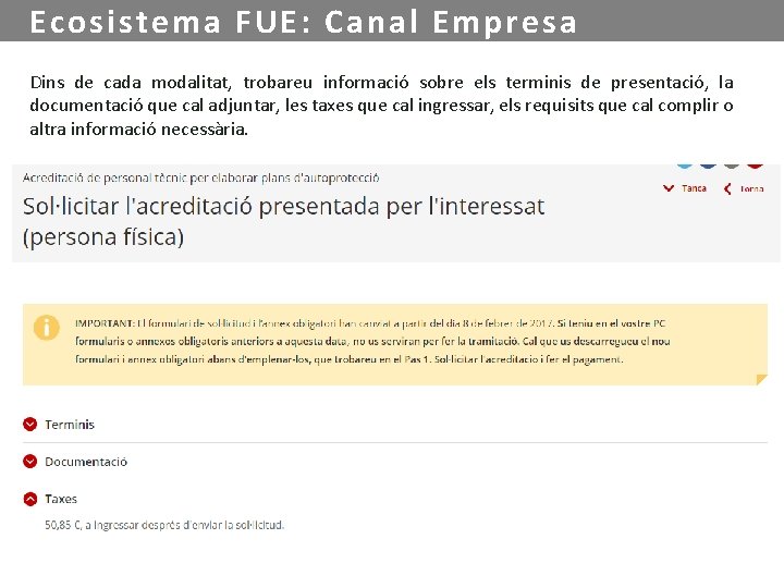 Ecosistema FUE: Canal Empresa Dins de cada modalitat, trobareu informació sobre els terminis de